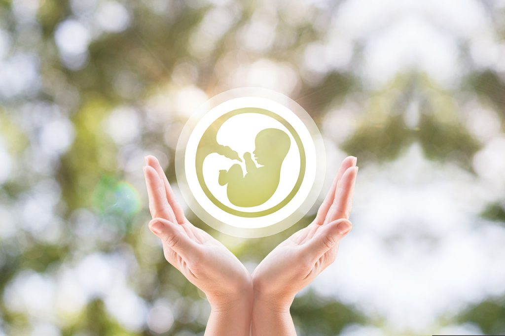 understanding embryo adoption